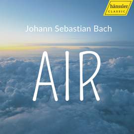 Partita No. 6 in E Minor, BWV 830: IV. Air