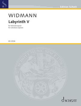 Widmann, J: Labyrinth V
