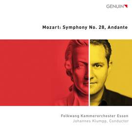 Symphony No. 28 in C Major, K. 200: II. Andante