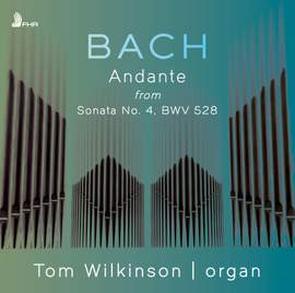 Organ Sonata No. 4 in E Minor, BWV 528: II. Andante