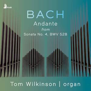 Organ Sonata No. 4 in E Minor, BWV 528: II. Andante