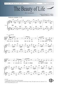 Robert S. Cohen: The Beauty of Life