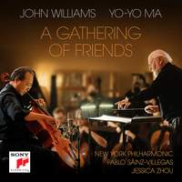 Yo-Yo Ma/John Williams Album - Vinyl Edition