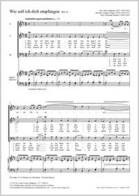 Domke, Christian: Wie soll ich dich empfangen (D major)