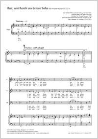 Schröder, Johannes: Herr, send herab uns deinen Sohn (D minor)