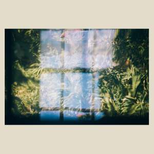 Music For Growing Flowers