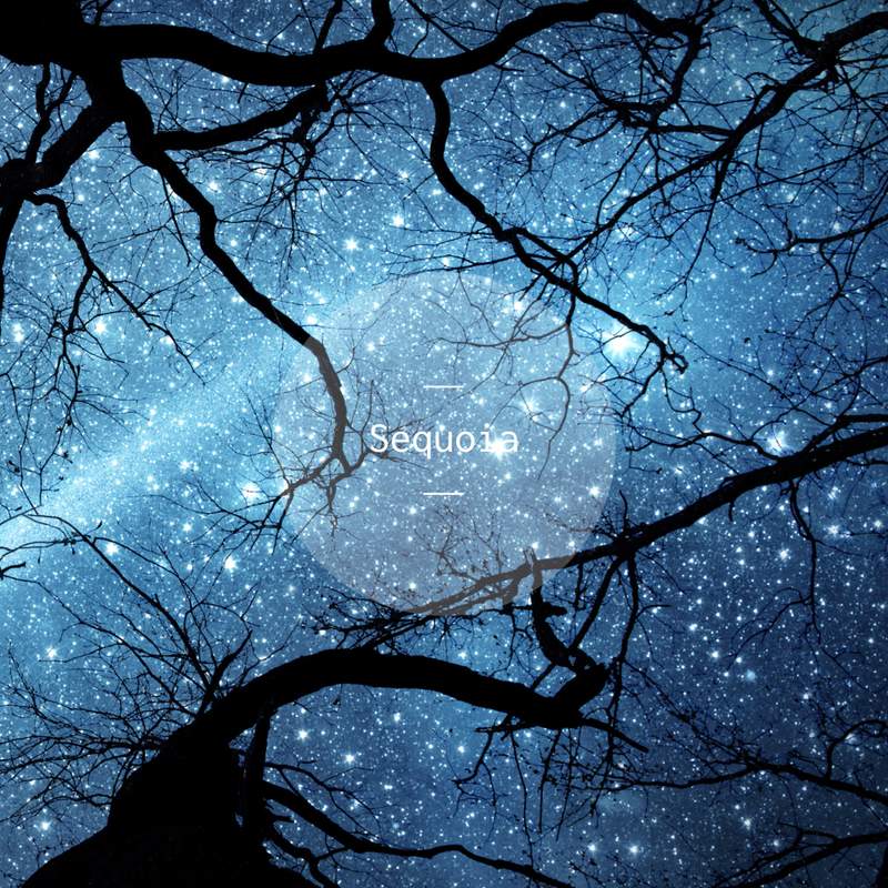 Theory of Becoming - ECM: 4857282 - CD or download | Presto