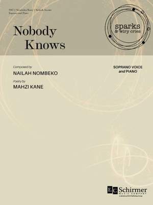 Nailah Nombeko: Nobody Knows