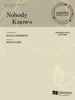 Nailah Nombeko: Nobody Knows Product Image