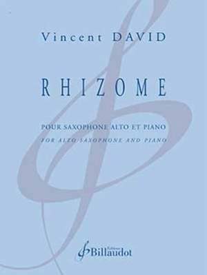 Vincent David: Rhizome