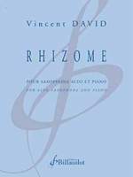 Vincent David: Rhizome Product Image