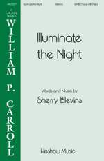 Sherry Blevins: Illuminate the Night Product Image