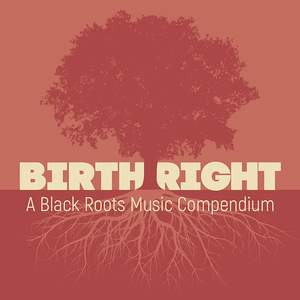 Birthright: A Black Roots Music Compendium