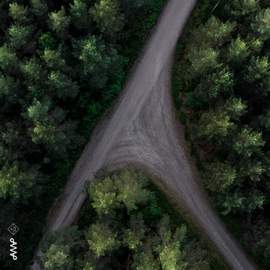 Pathways