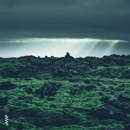 A Dreamy Journey