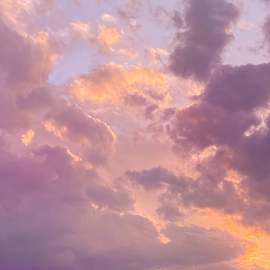 Reaching for Heaven