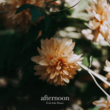 Feels Like Home: afternoon