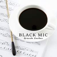 BLACK MIC