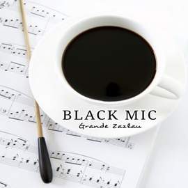 BLACK MIC