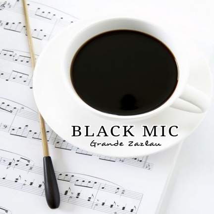 BLACK MIC