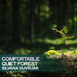 Comfortable Quiet Forest