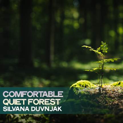 Comfortable Quiet Forest