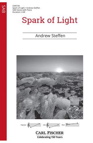 Steffen, A: Spark of Light
