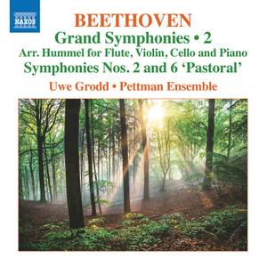 Beethoven: Grand Symphonies, Vol. 2 Product Image