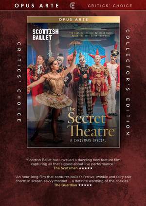 The Secret Theatre