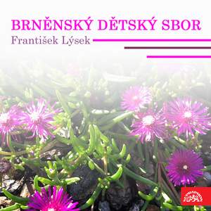 Brněnský dětský sbor, František Lýsek