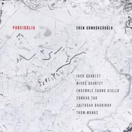 Eren Gümrükçüoğlu: Pareidolia
