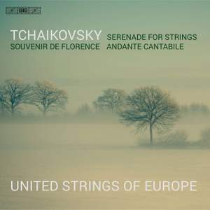 Tchaikovsky: Serenade for Strings, Souvenir de Florence, Andante Cantabile