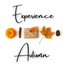 Experience Autumn