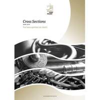 Bart Leys: Cross Sections