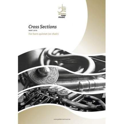 Bart Leys: Cross Sections