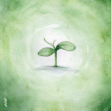 Dancing Seedlings