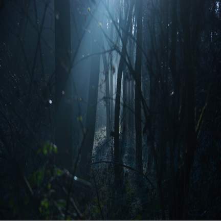 Chant of the Fallen
