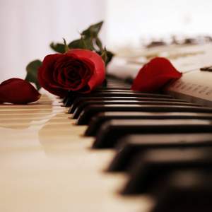 世界名曲丨古典音乐钢琴曲丨胎教音乐丨致爱丽丝