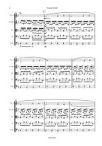Peter Knockaert: Fragile World for String Orchestra Product Image