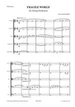 Peter Knockaert: Fragile World for String Orchestra Product Image
