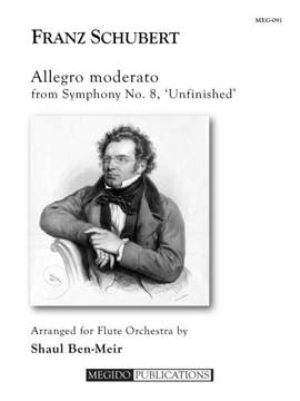 Franz Schubert: Allegro Moderato from Symphony No. 8