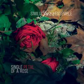 Single Petal of a Rose