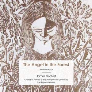 Julian Marshall: The Angel in the Forest Product Image