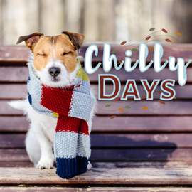 Chilly Days