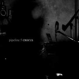 Crocus