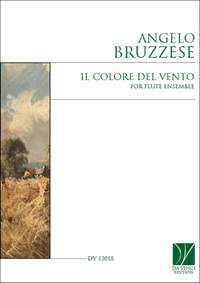 Angelo Bruzzese: Il Colore del Vento, for Flute Ensemble