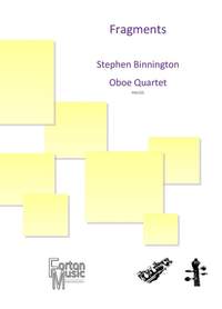 Stephen Binnington: Fragments