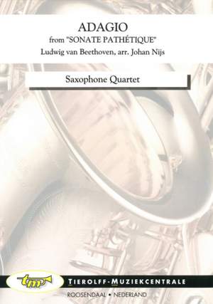 Ludwig van Beethoven: Adagio from Sonate Pathétique