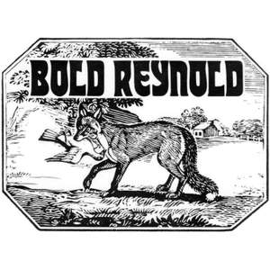 Bold Reynold