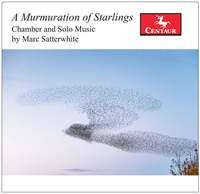 M. Satterwhite: A Murmuration of Starlings